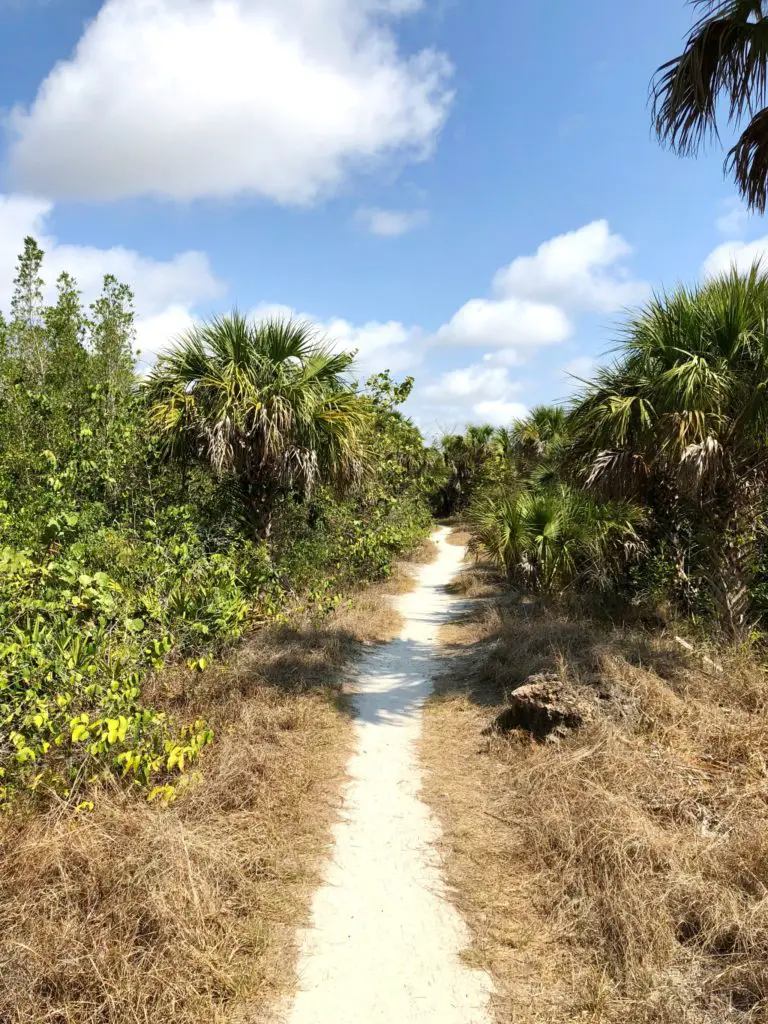 Rotary Park Cape Coral