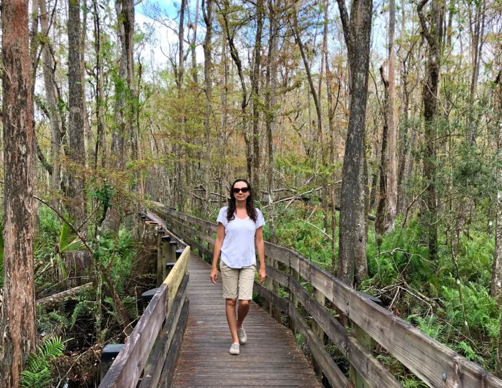 Six Mile Cypress Slough Preserve