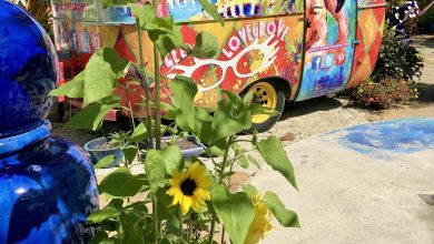 Colorful painted trailer and garden at Leoma Lovegrove Gallery in Matlacha Florida.