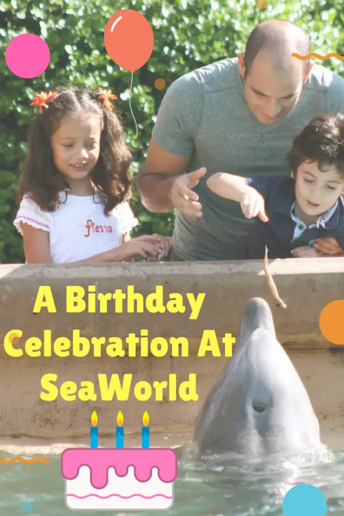 A Birthday Celebration At SeaWorld