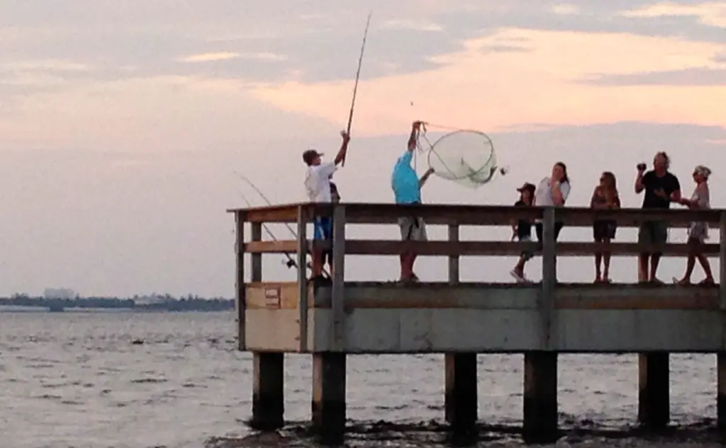 fishing on a pier