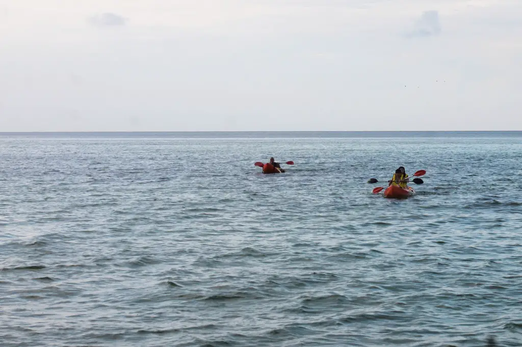 Fury Key West sea kayaking 