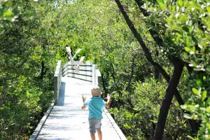 Rotary park mangrove preserve Cape Coral