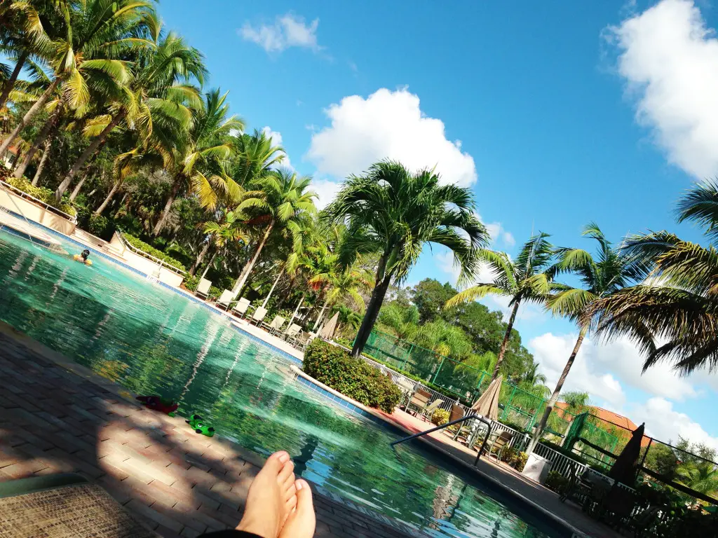 Westin Cape Coral pool with palm trees