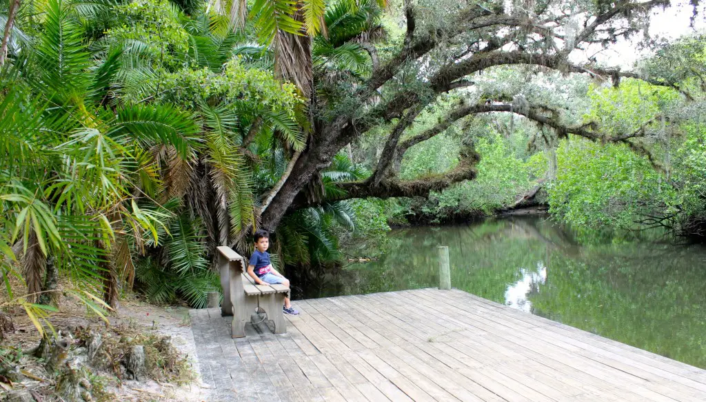 Koreshan State Historic Site bamboo forests