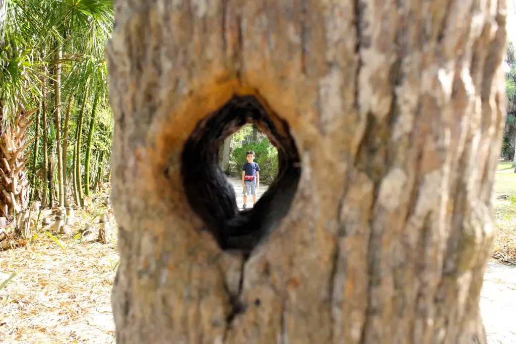 Koreshan State Historic Site