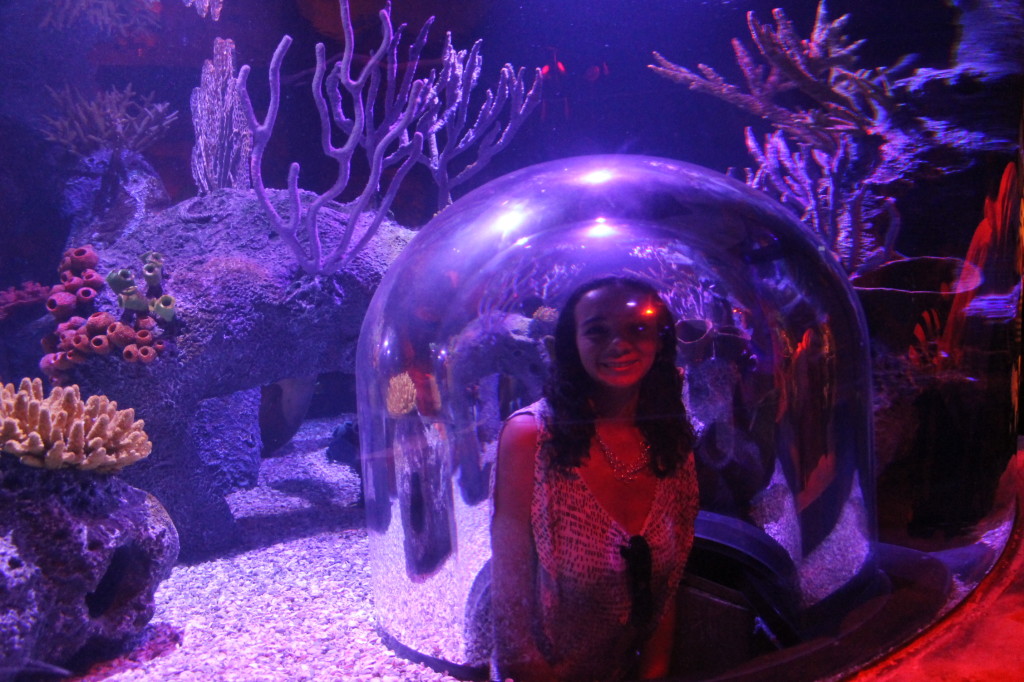 SeaLife Aquarium Orlando