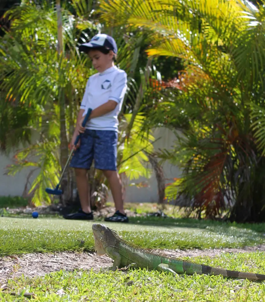 Hawks Cay kids mini golf