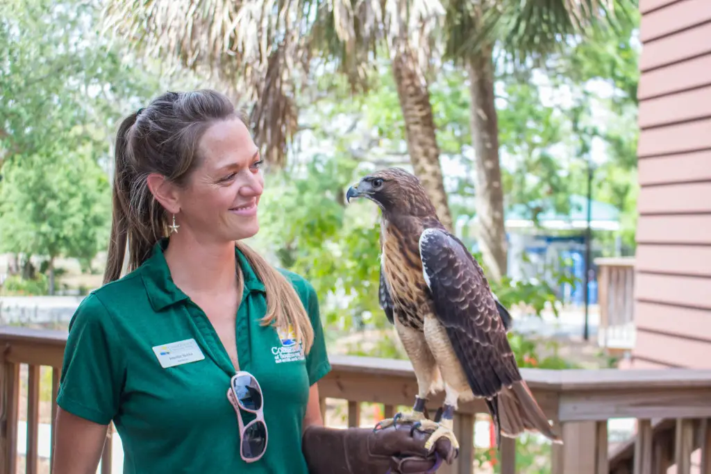 Conservancy of Southwest Florida Earth Day Festival