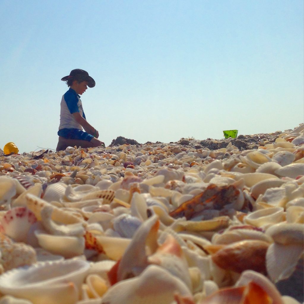 Shelling in Sanibel with kids