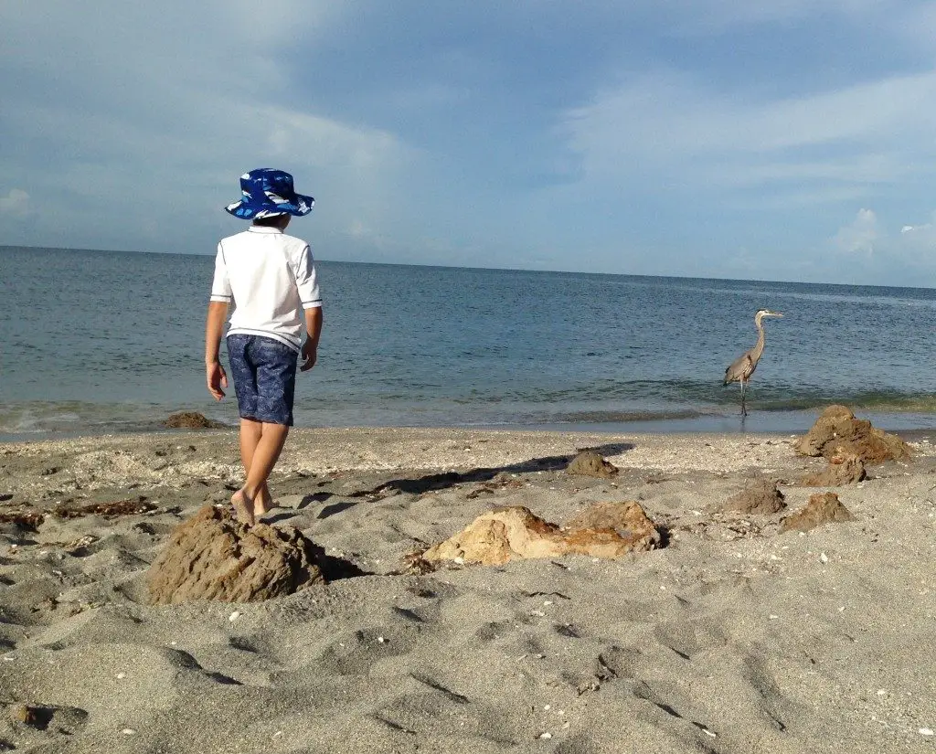 summer camp on the beach 