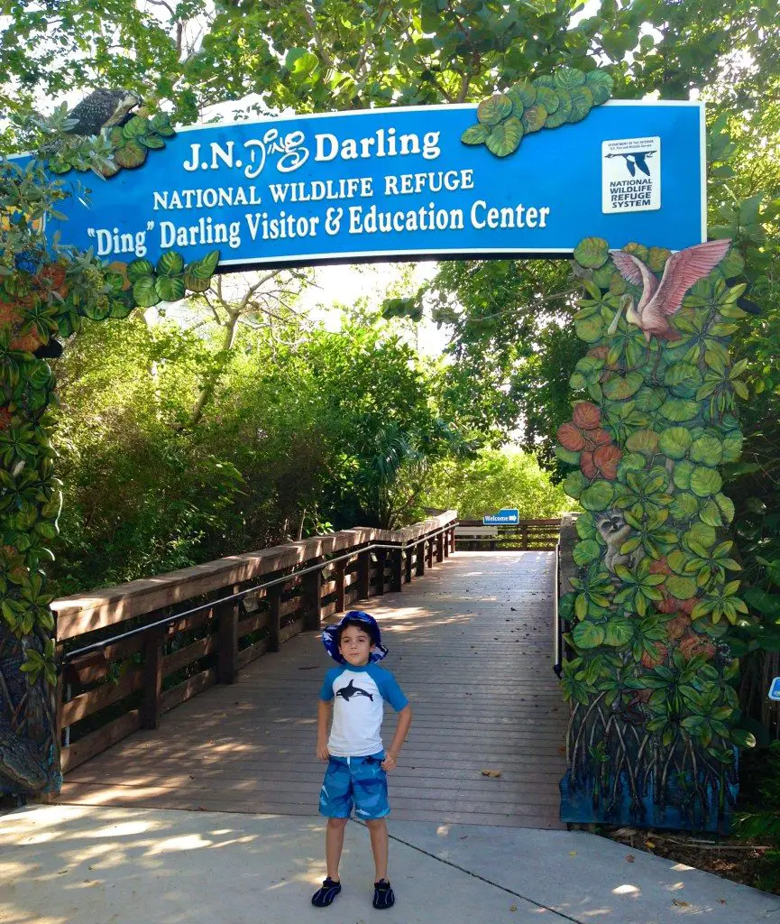 J.N. “Ding” Darling National Wildlife Refuge, Best Nature Hikes for Families in Southwest Florida