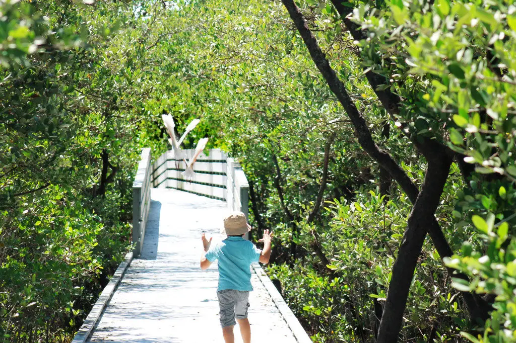 Rotary Park Cape Coral