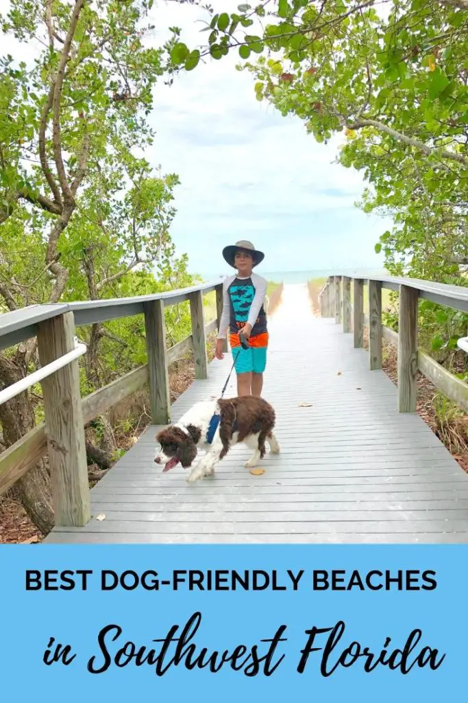 The best dog-friendly beaches in Southwest Florida