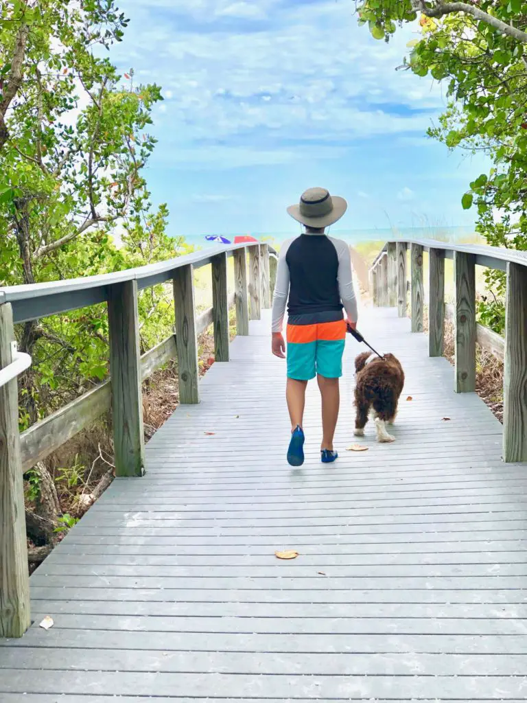 The Best Beaches for Dogs in Southwest Florida