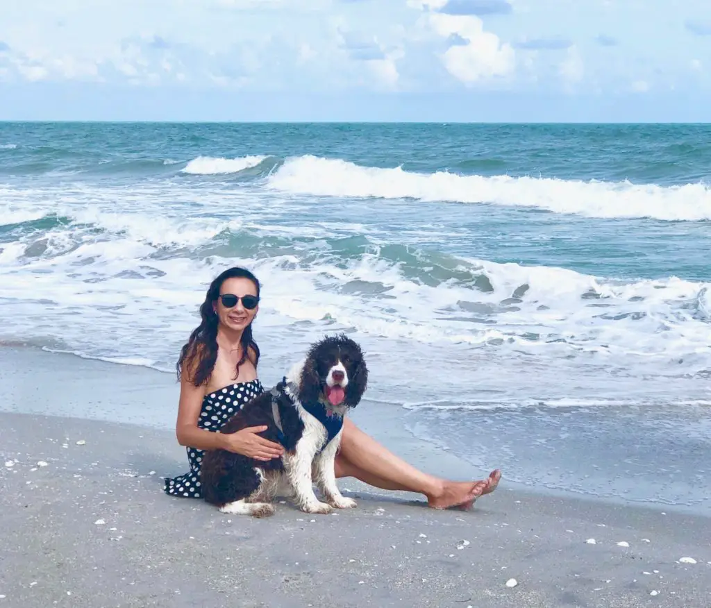 Algiers or Gulfside beach in Sanibel a dog-friendly beach