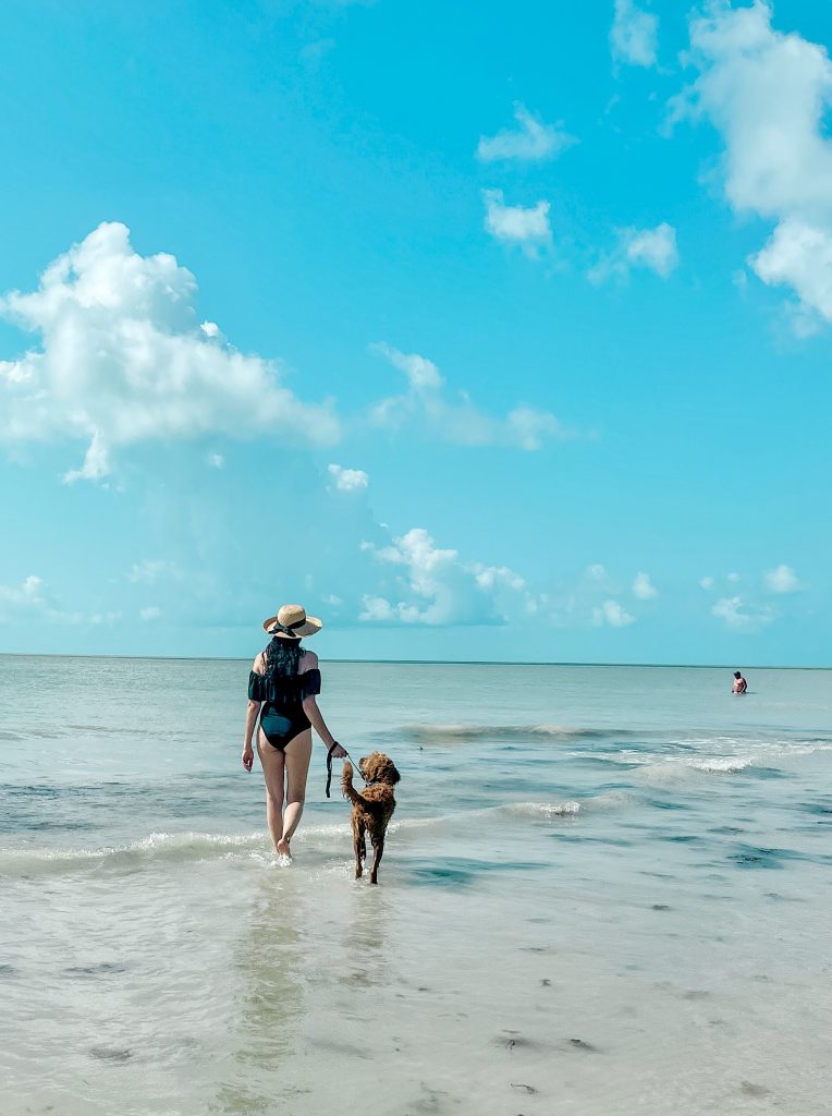 Tips for taking your dog to the beach