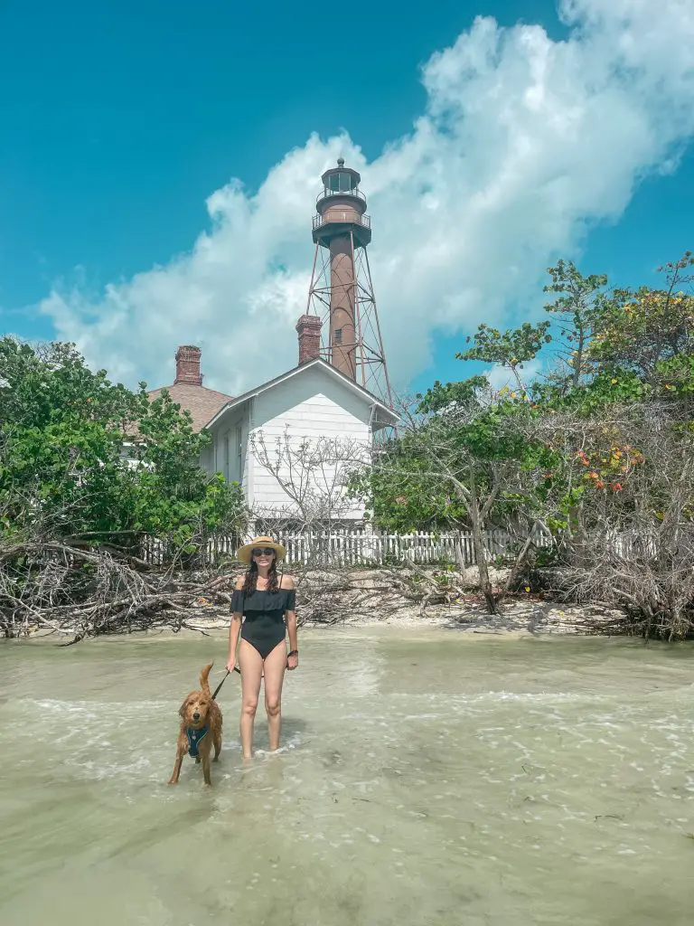 Dog friendly beaches in Southwest Florida