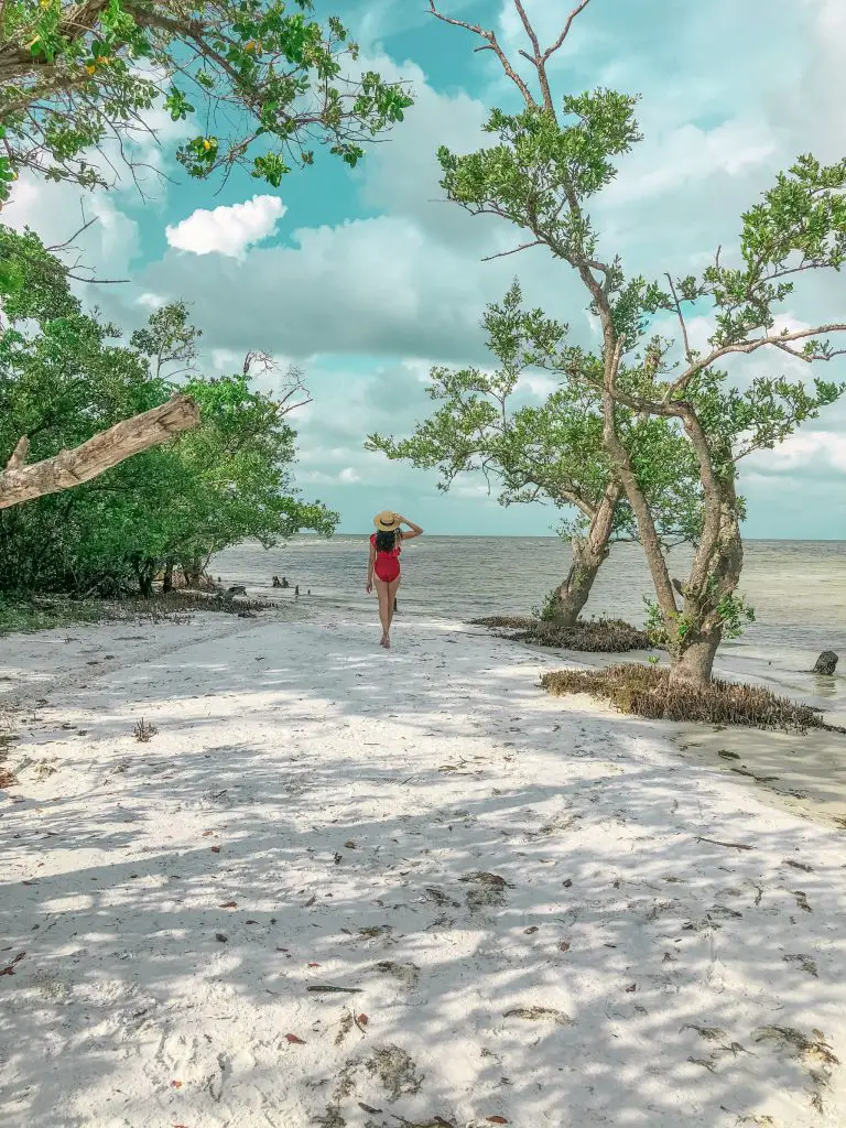 Bunche Beach Fort Myers Florida