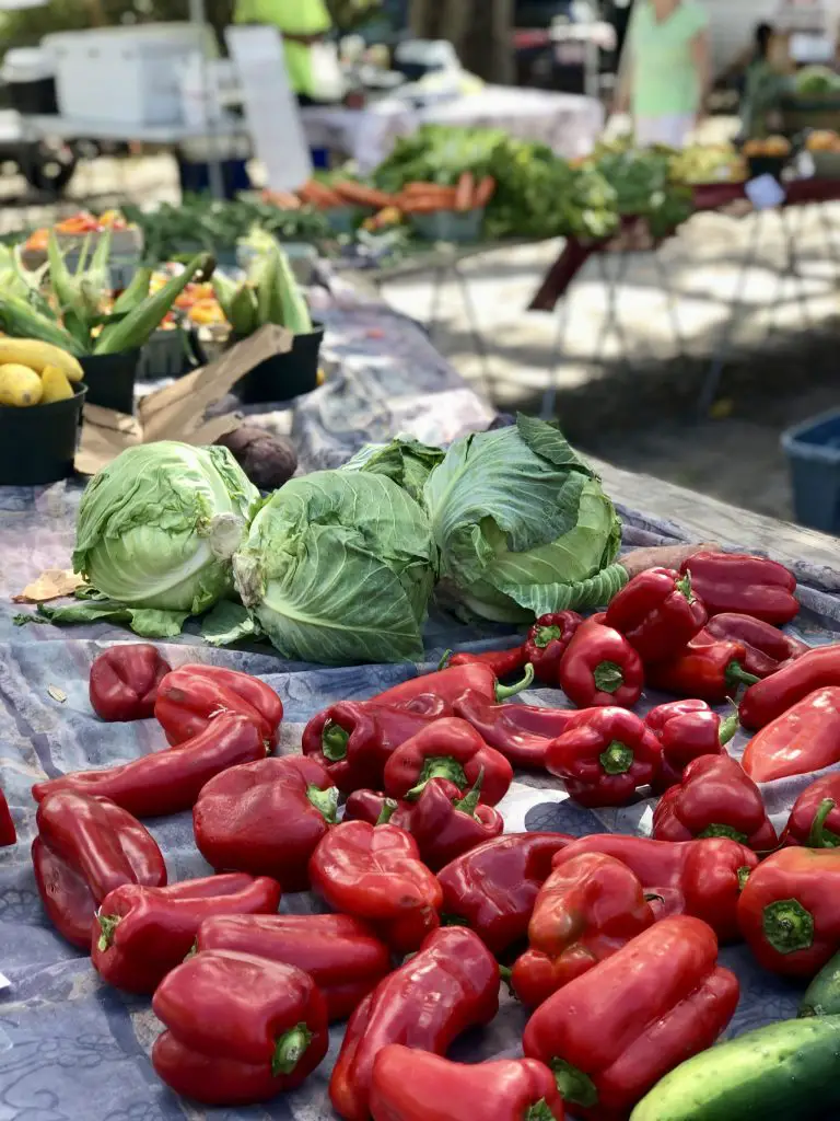 Best Farmer's Markets in Southwest Florida