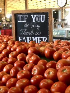 Best Farmer's Markets in Fort Myers