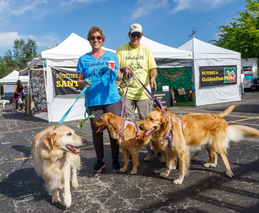 Golden Fest in Southwest Florida