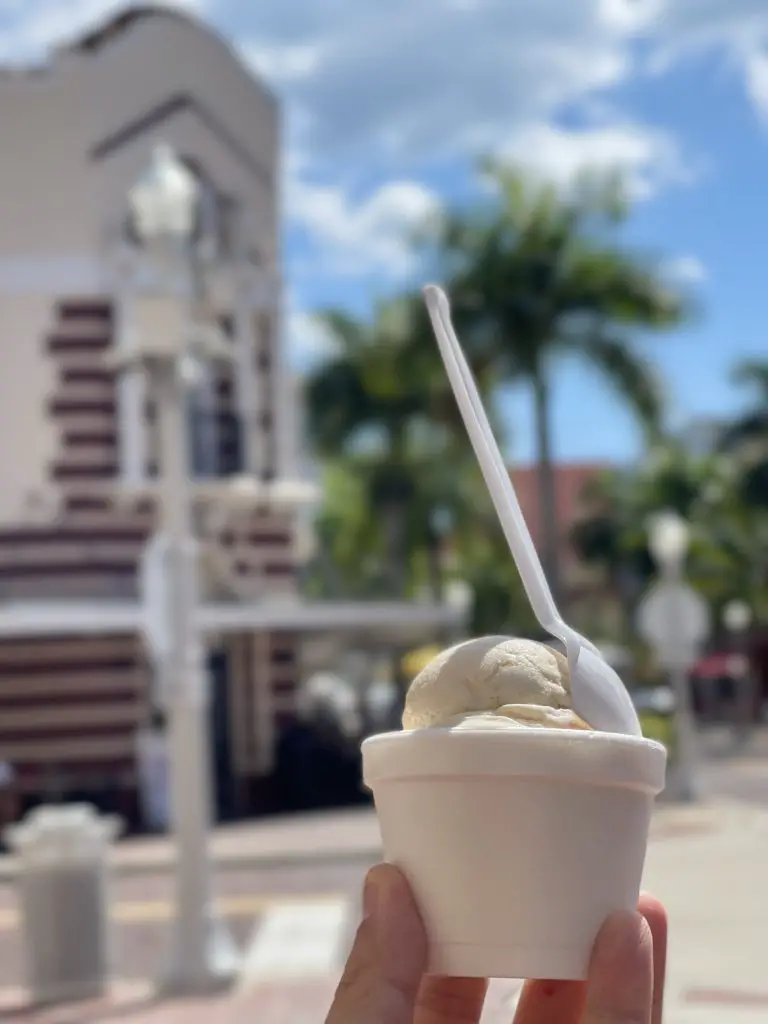 Best Desserts and Ice Cream spots in Downtown Fort Myers