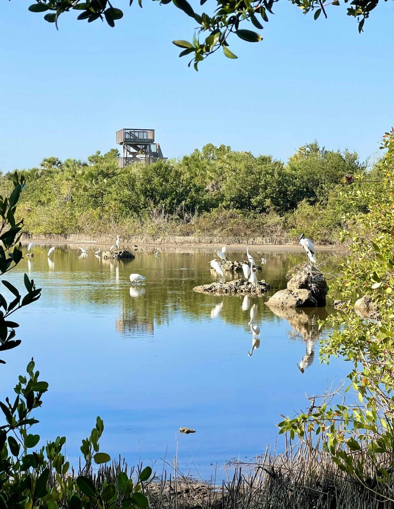 Rotary Park Cape Coral