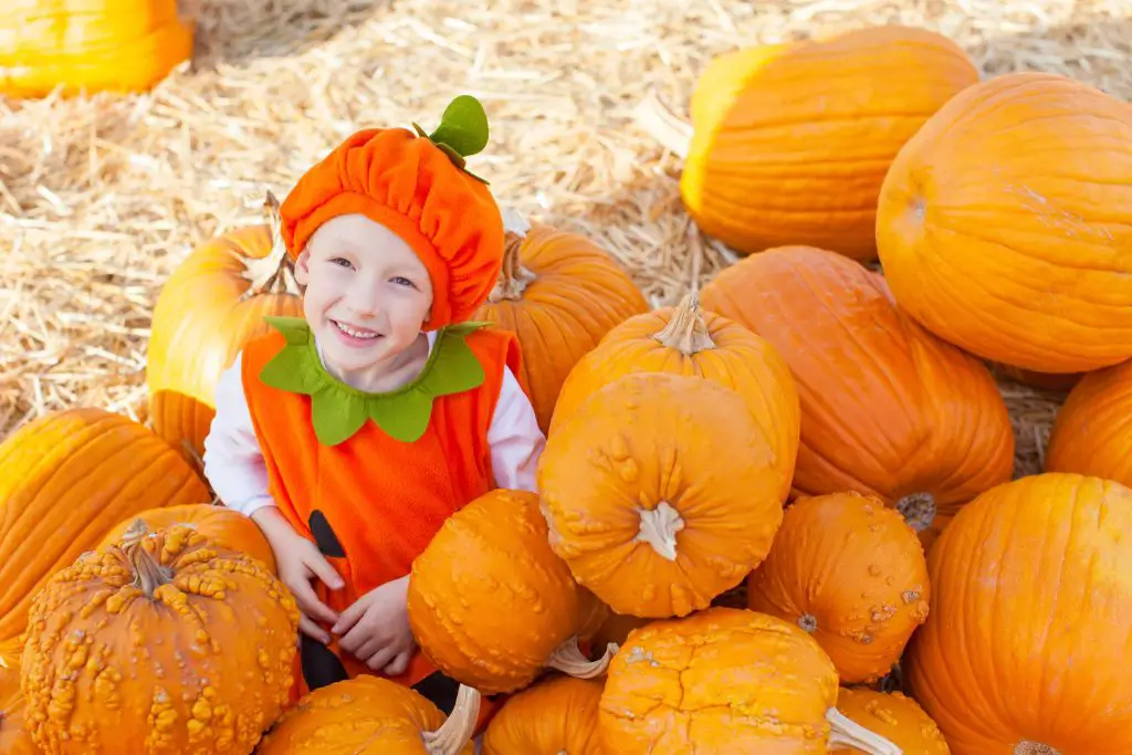 Best Fall and Halloween events in Fort Myers