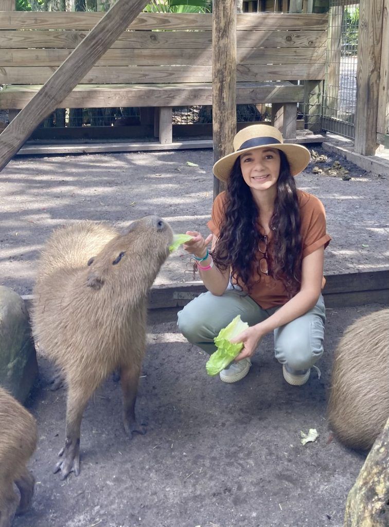 Meeting Capybaras near Orlando: Capybara experience in Florida