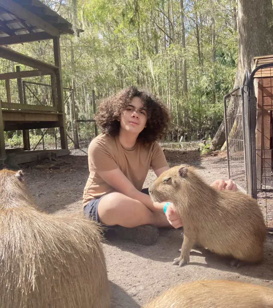 Capybara experience in Florida