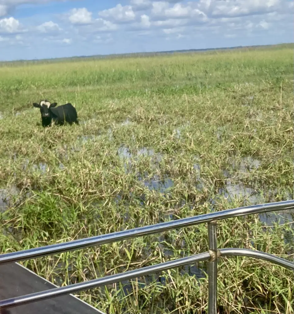 best Airboat rides near Orlando