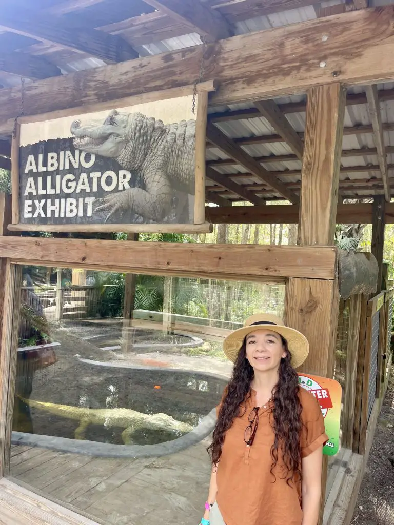 Alligators and Florida wildlife at Wild Flroida