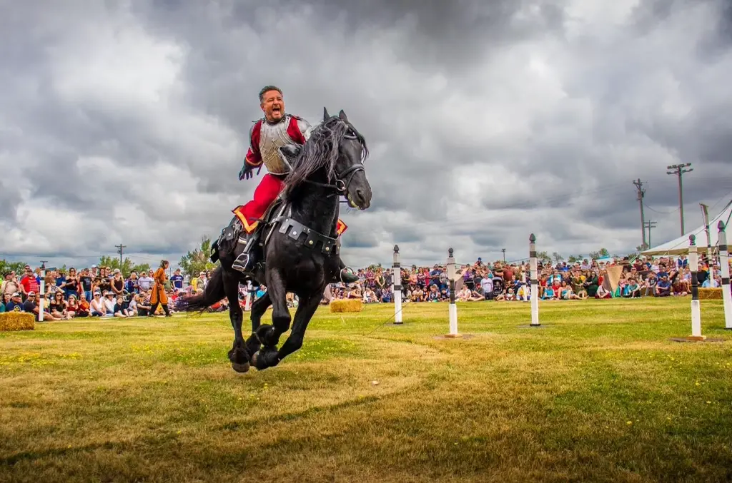 Venezia Renaissance Fair