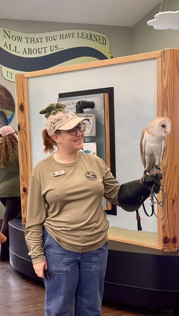 Animal educator holding a barn owl at Busch Wildlife Sanctuary&rsquo;s indoor education center.