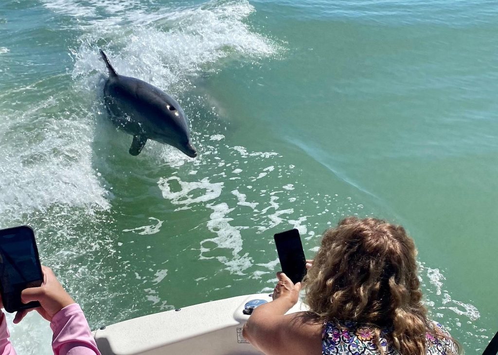 People photographing a dolphin swimming beside a boat during a private dolphin tour in Naples Florida