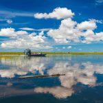 best Everglades tours from Naples