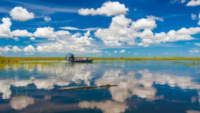 best Everglades tours from Naples