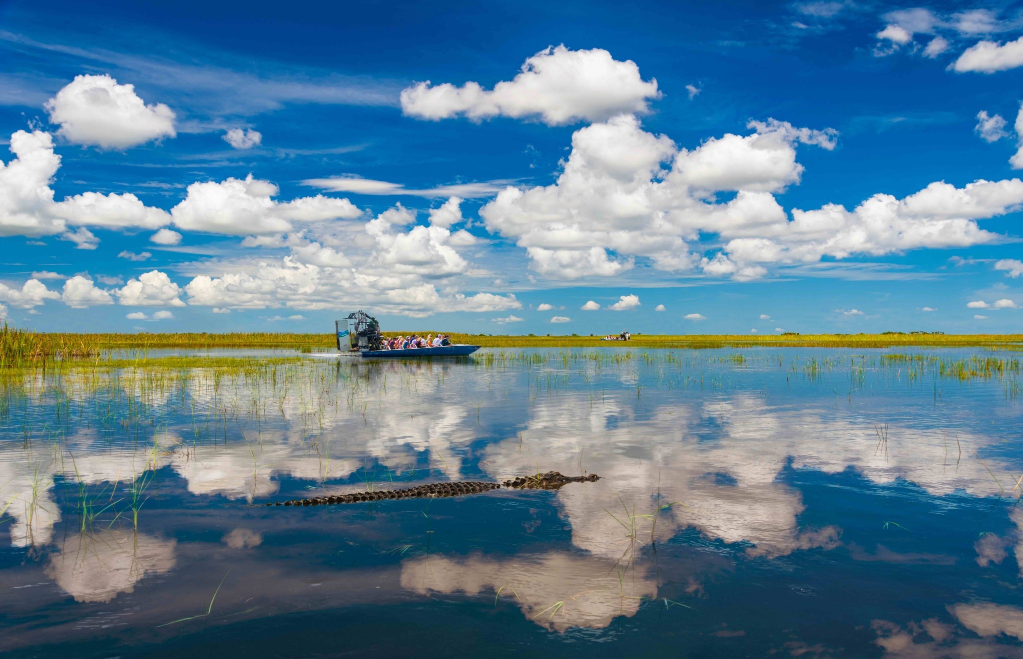 best Everglades tours from Naples