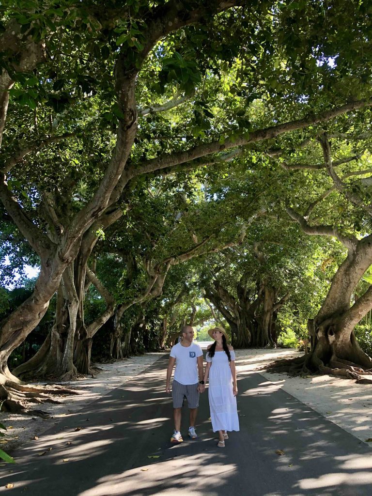 Couple walking under the banyan trees on Banyan Street in Boca Grande, Florida