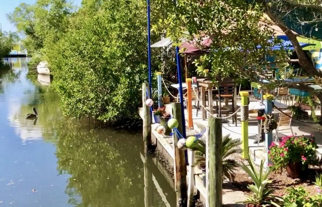 Pelican beside the canal at Blue Dog Bar and Grill in Matlacha Florida.